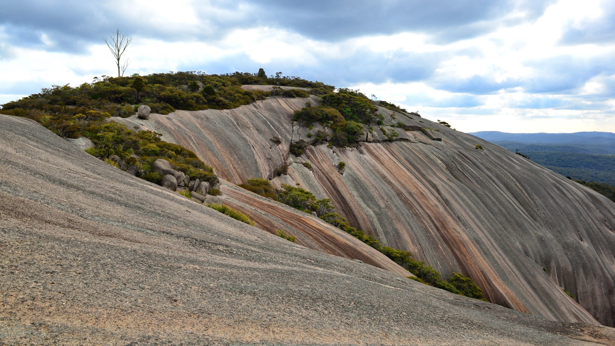 Bald Rock Summit & Bungoona Walks | Destination Tenterfield