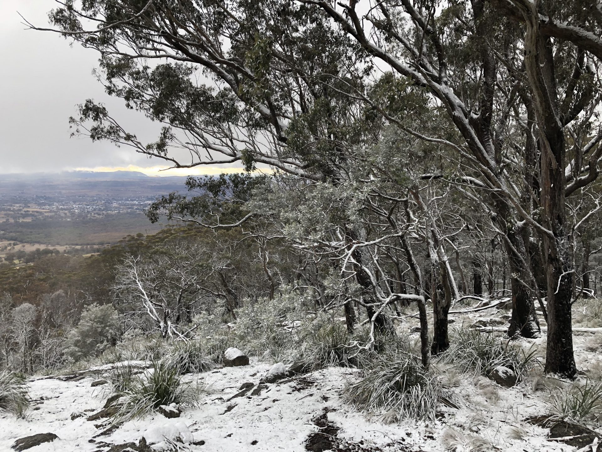 Mount Mackenzie Scenic Lookout Destination Tenterfield